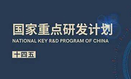 疾病類器官模型被列為“十四五”首批重點專項